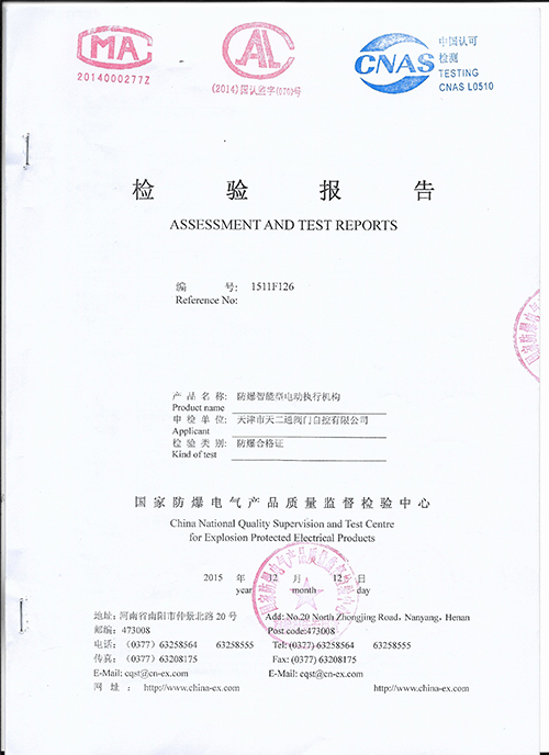 Test Report 8
