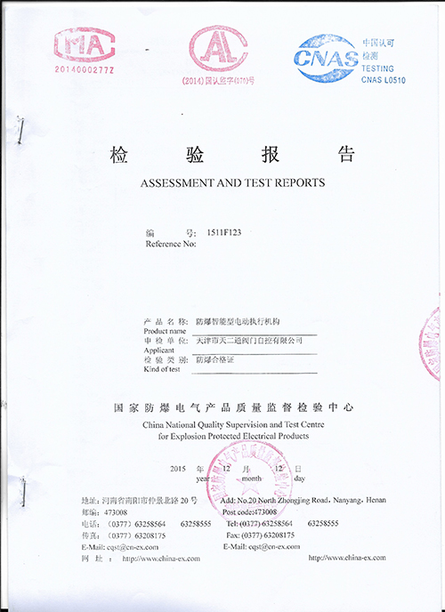 Test Report 6
