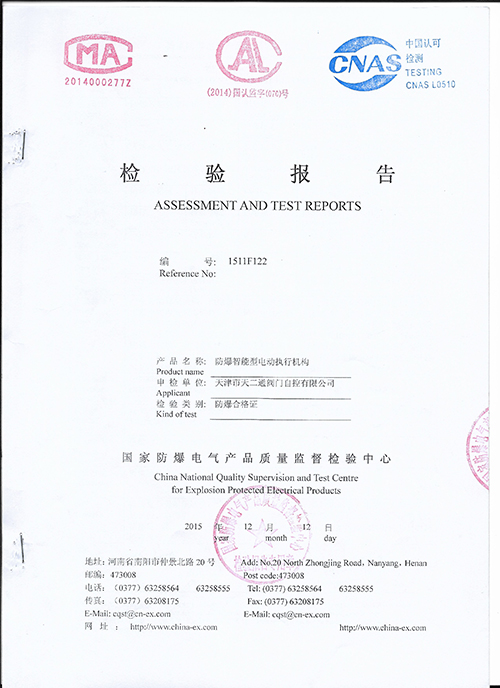 Test Report 5