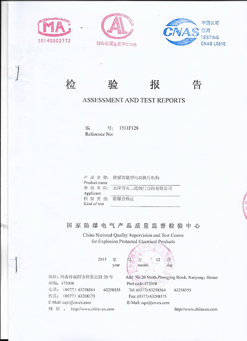 Test Report 4