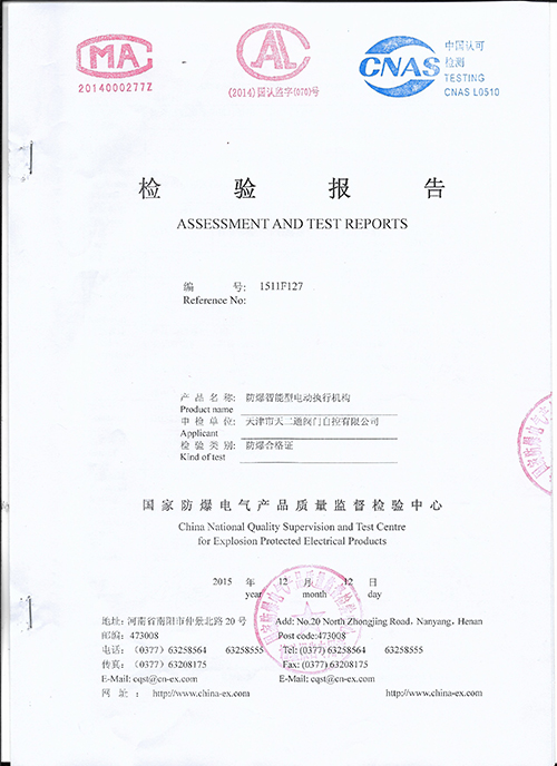 Test Report 3