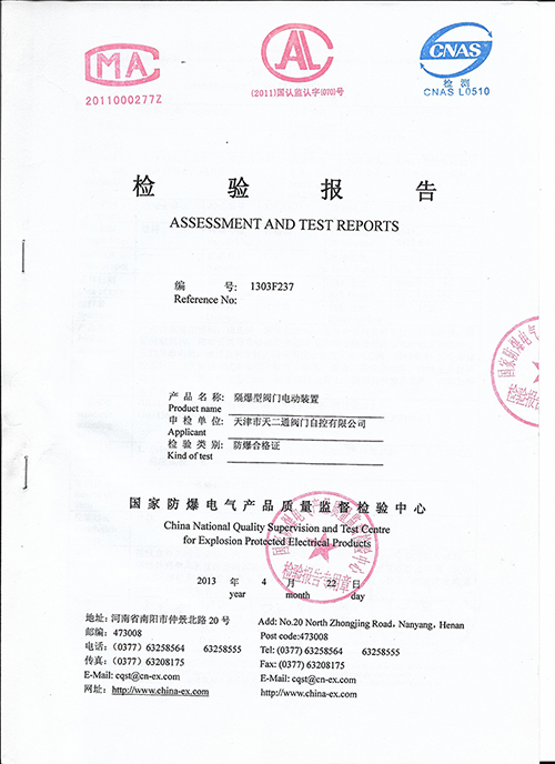 Test Report 1