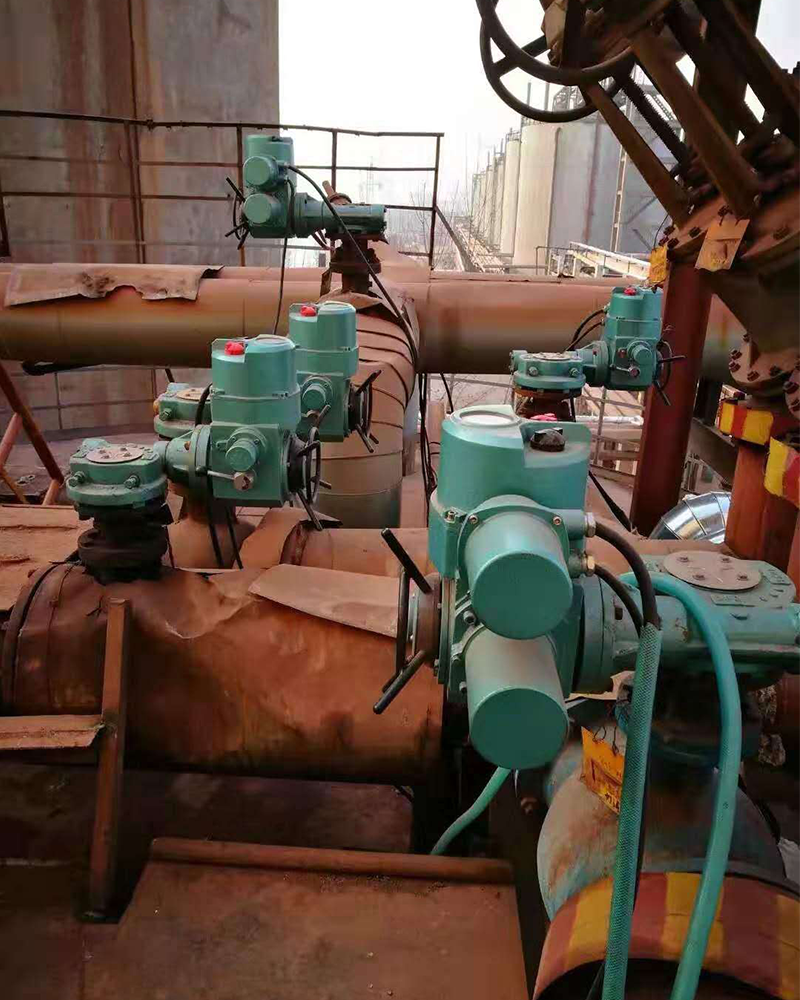 weiqiao group alumina no. 1 company