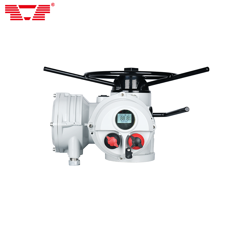 TIQ25 model