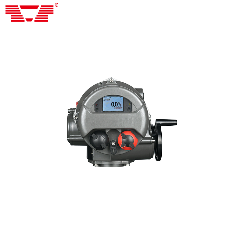 NTQ1 model